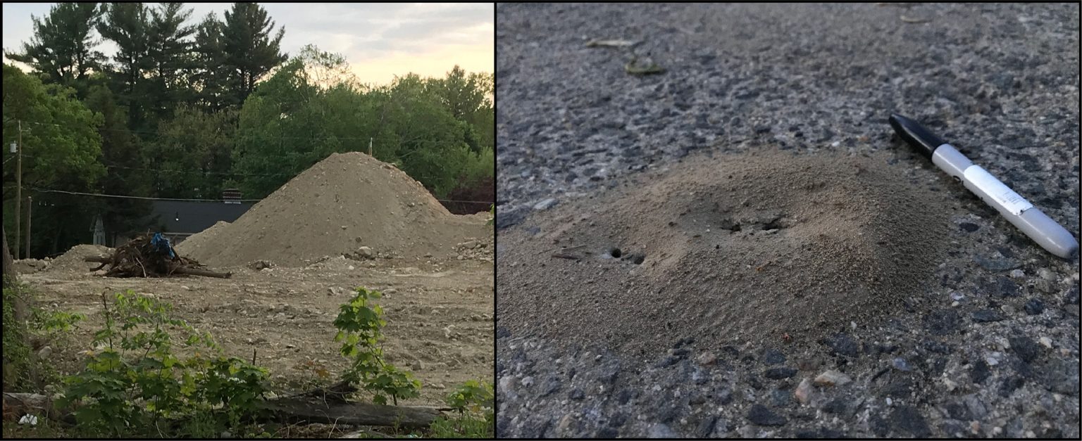 Dig Your Toes…into the Angle of Repose! Backyard Geology