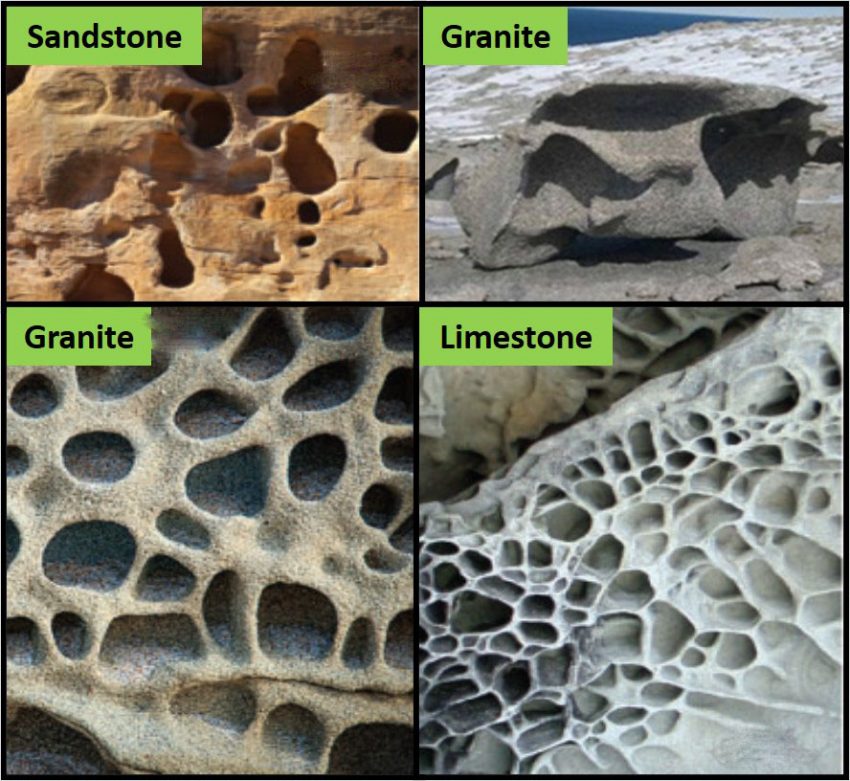 Totally Terrific Tafoni! Backyard Geology